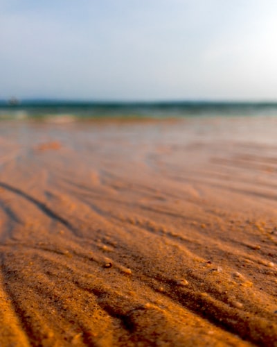 白天水体附近的棕色沙子